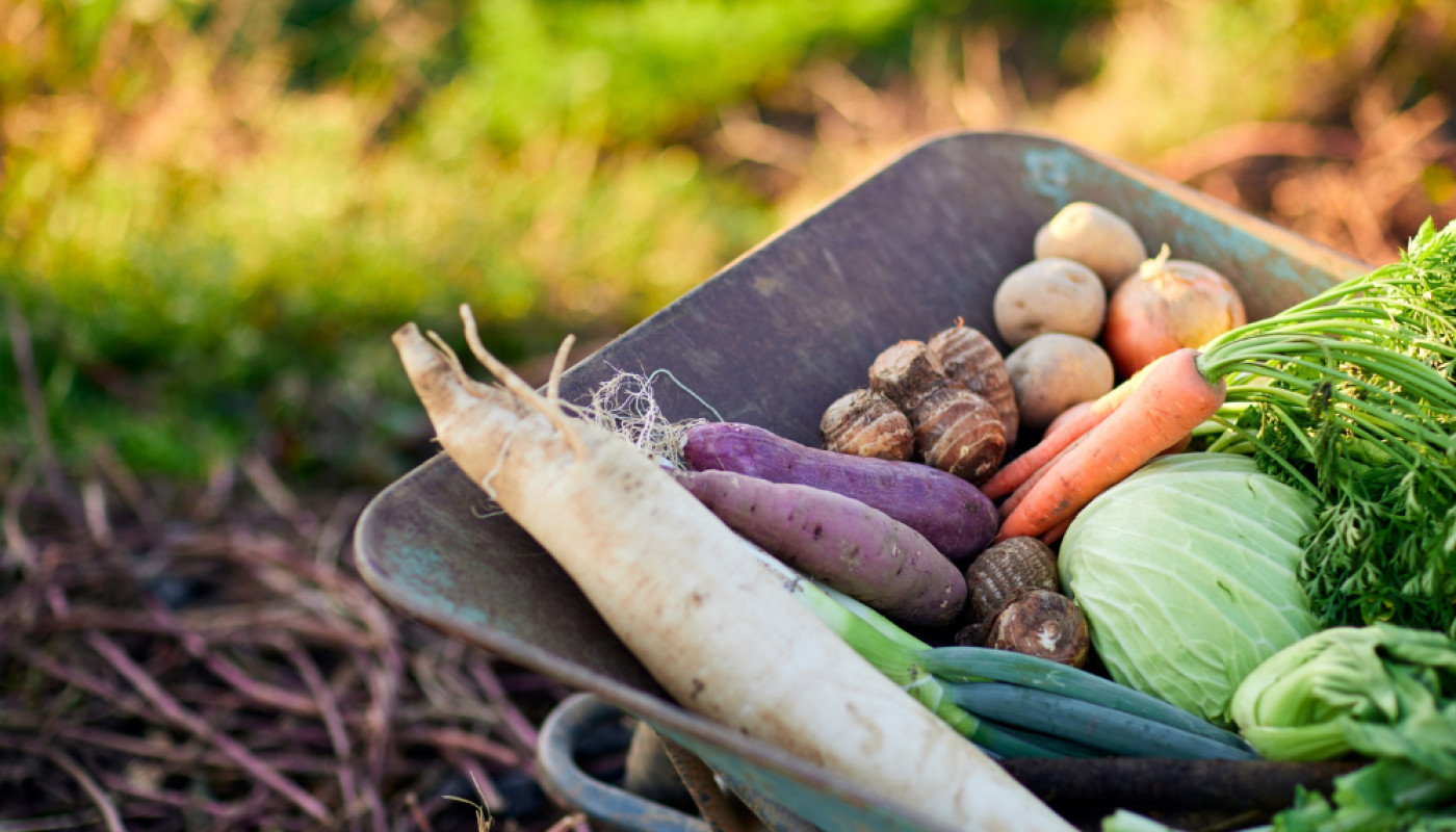 Formation à l’autonomie alimentaire : en cas de crise, elle vous sera utile !